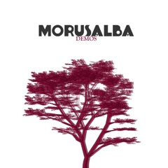 Morus Alba Oficial
