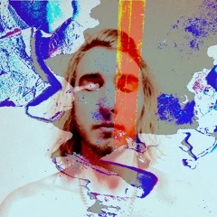 Lions, Tigers and Bears