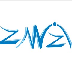 Z-WIZI