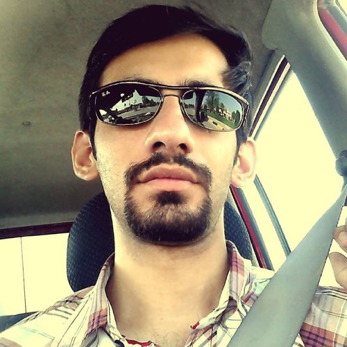 Salman Idrees’s avatar