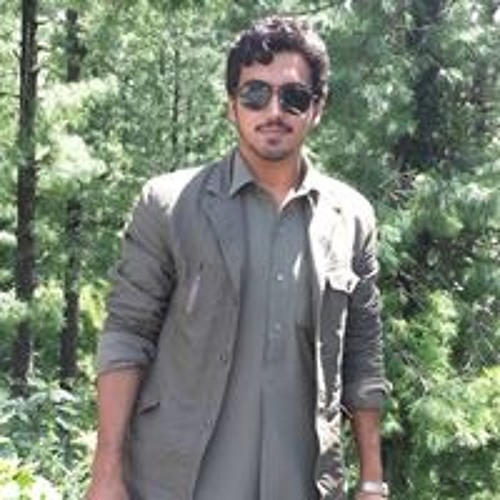 ali zeb khan’s avatar