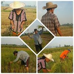 รณพล ประถมบุตร