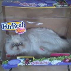 Alison Loughran Farrell