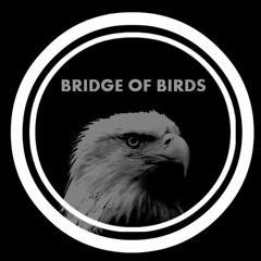 Bridge of Birds