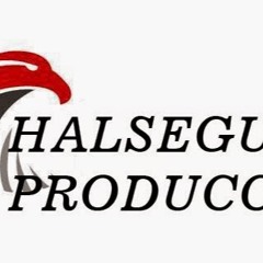 HALSEGUR PRODUCCIONES