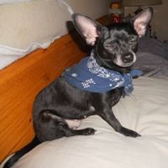 Butchand Aimee Dilks