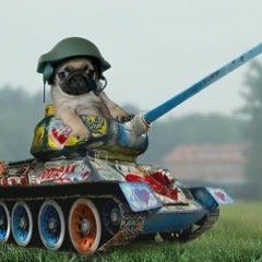 warpug