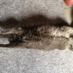 Vishwadeep Ahluwalia