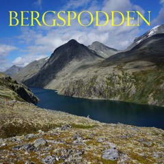 Bergspodden