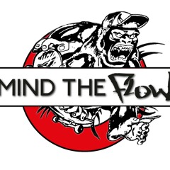 Mind The Flow