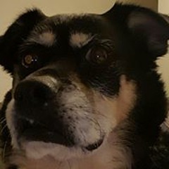 Carolyn Merritt James