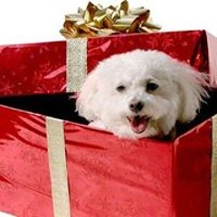 Brenda Trejo Narvaez