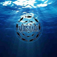 MudsharkNZ