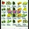 Lượm Láo Lếu