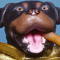 TriumphDog (Superzilla)