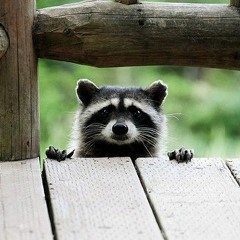 Operate ft. Trillwax & Luke (Prod. Hypnos)