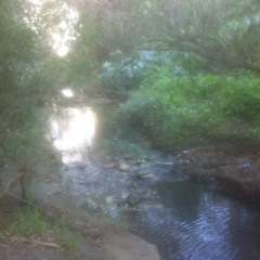 |thE|magicaL|riveR|
