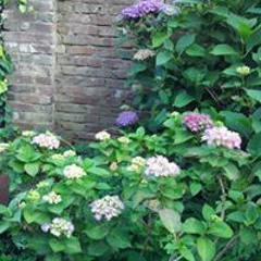 Jenny Den Ouden Thielen