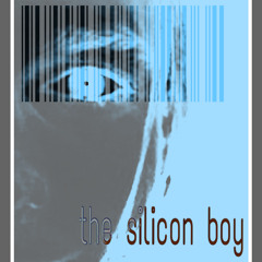 The Silicon Boy