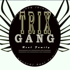 Trix GanG
