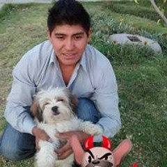 Ronald Mamanic