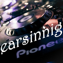 earsinnig