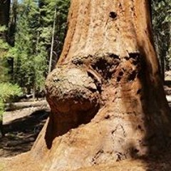 Anuq Haizan Nalawangsa