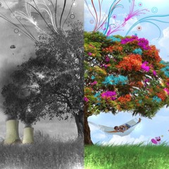 Sebastian Varghese 4