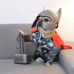 ภัทร อิอิ