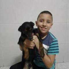 João Henrique Freire