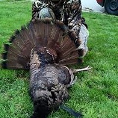 Stephen AskAboutme Cross