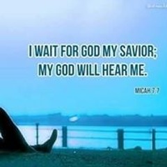 Rottwelier Mayo Black