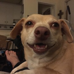 Chihualrus Productions