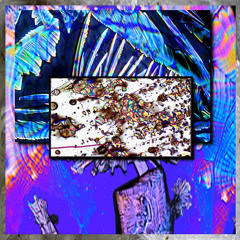DEITY0101