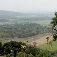 makruf