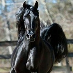 ‎⁨المطربة أمانى   اغنية والله يا زمن⁩.m4a