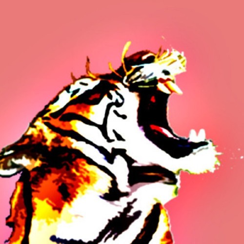 EL TIGR3’s avatar