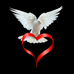 ‫ميدوو محمود‬‎