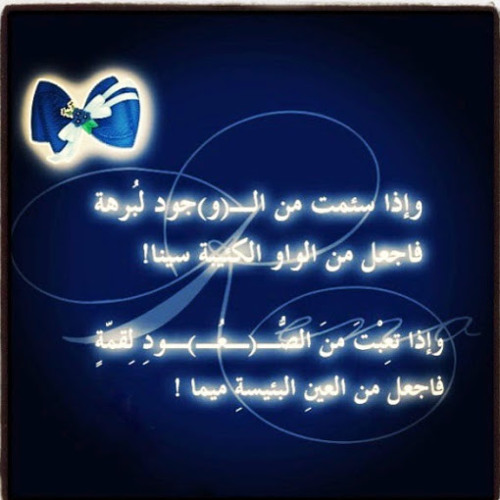 العنكبوت _ أحمد العجمي