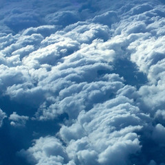 The Emissions Factor