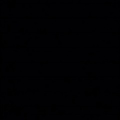 Poizon Stj village 2k15