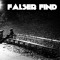 Falser Find