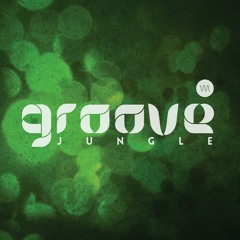 The Groove Jungle