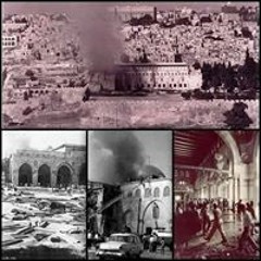 Toqa Mahmoud Elgendy