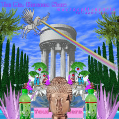 The Mr. Kingdom Show