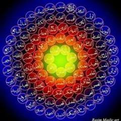 Karim Eldin Zaki Hassan