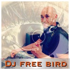 Dj Free Bird