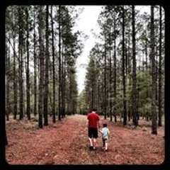 Phillip Watts Hewitt