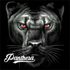 Panthera