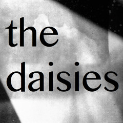 the daisies